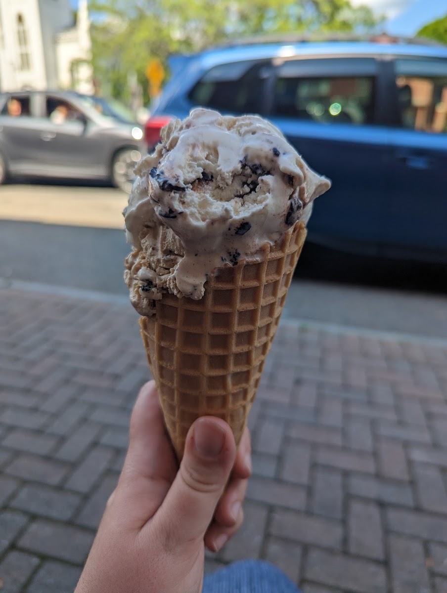 Cows Rock Ice Cream Photos 2